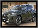 Elektryczny, Lexus UX 300e