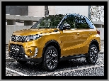 Żółty, Suzuki Vitara